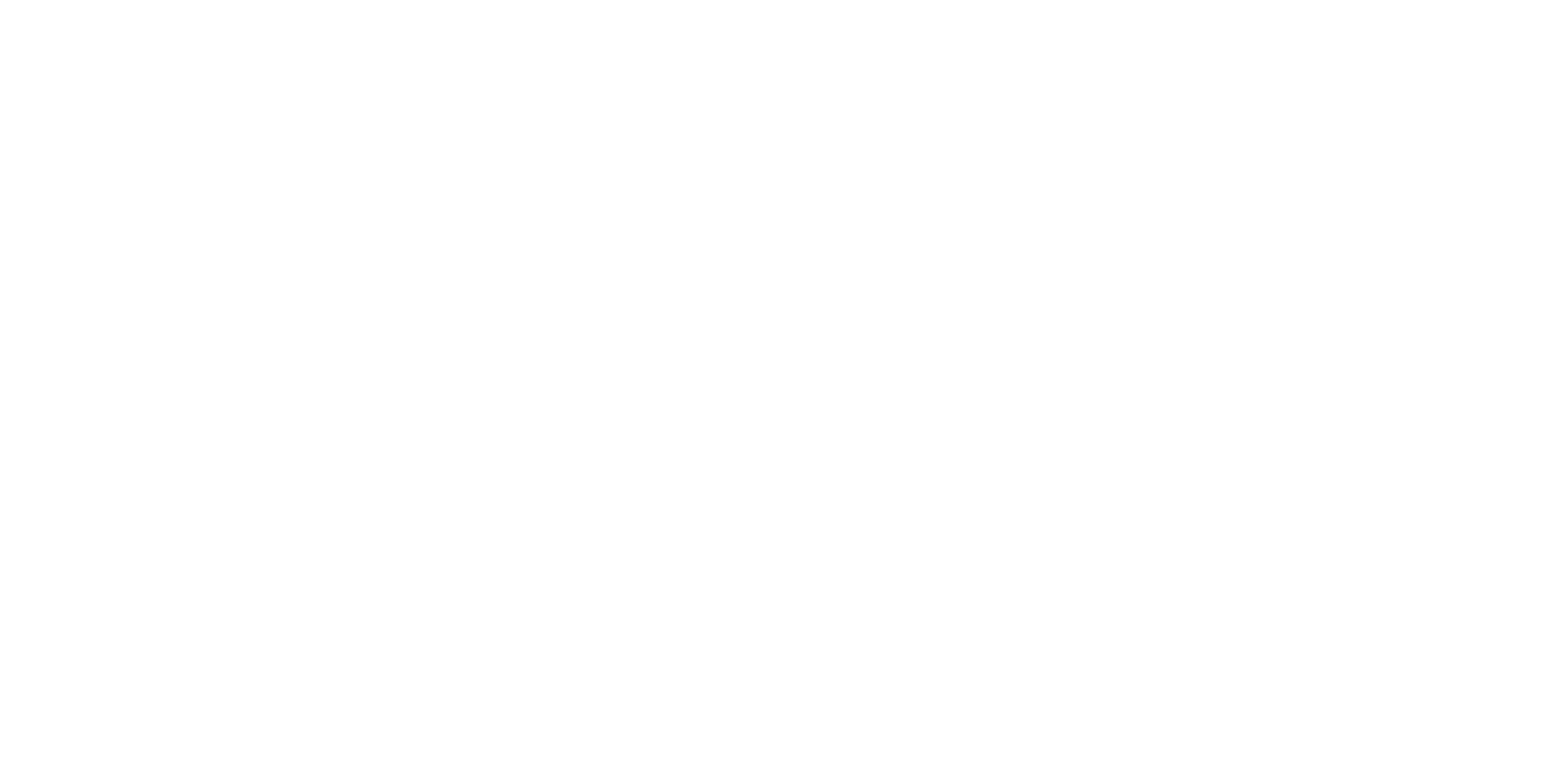 Action Coach Statto Business Group